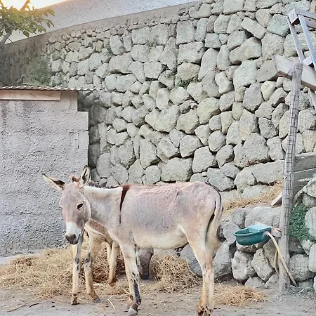 Tenuta Le Maria Al Monte Apartmán Ischia
